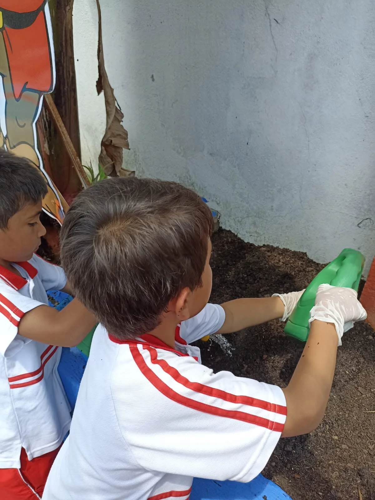 Actividad escolar de siembra y cuidado de plantas.