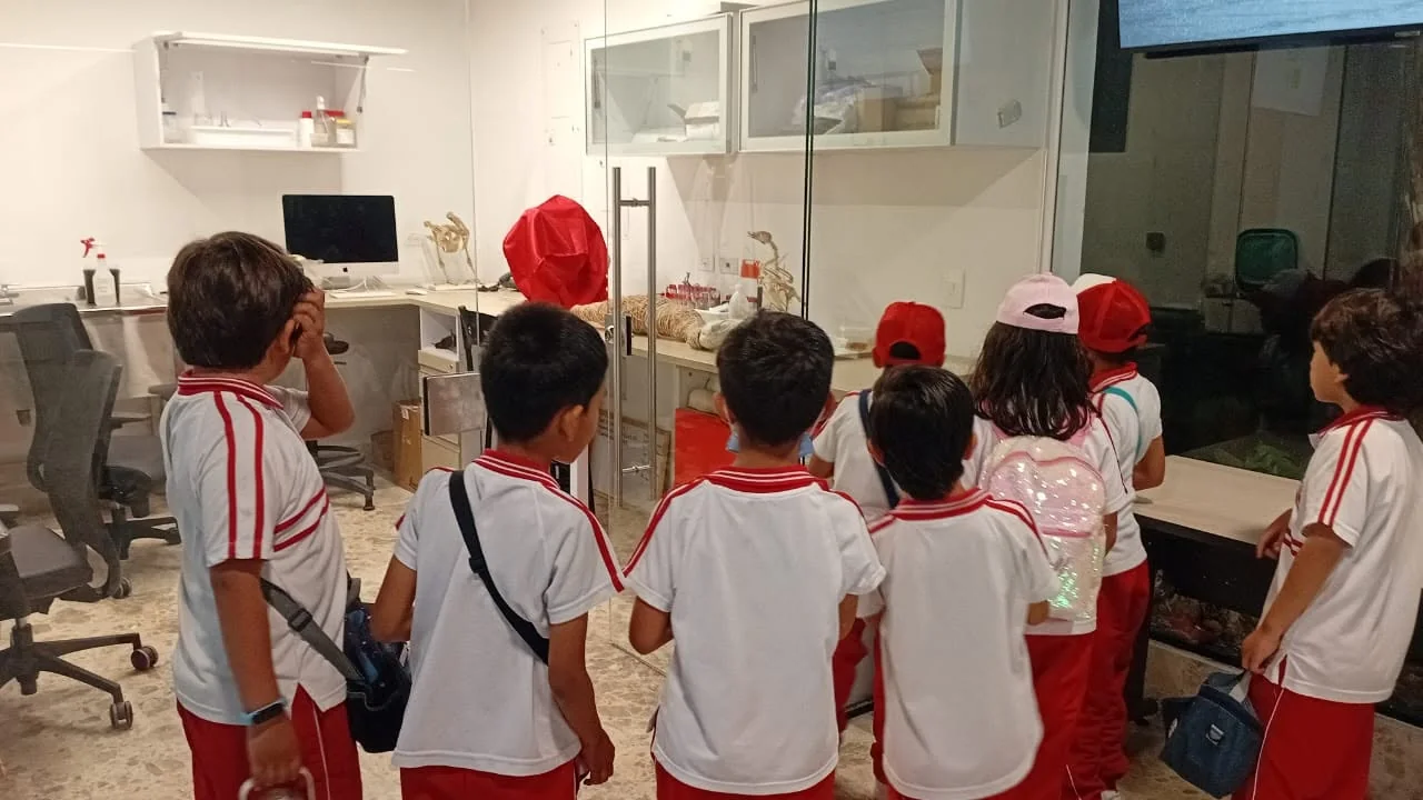 Estudiantes observan una exposición museográfica durante una salida.